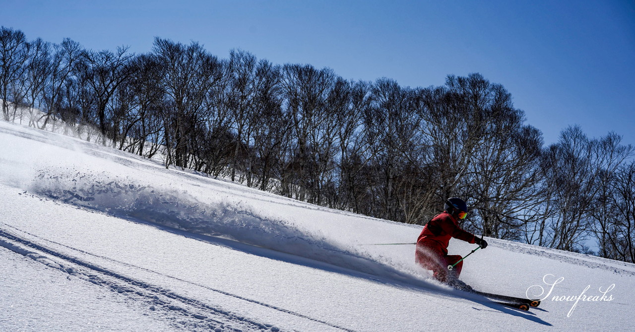 ニセコグラン・ヒラフ　もうすぐ4月。森林限界を超えると…、そこには『粉雪』が待っていました♪